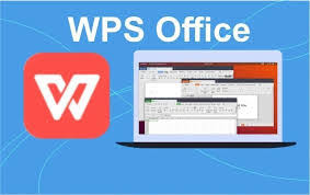 WPS-10